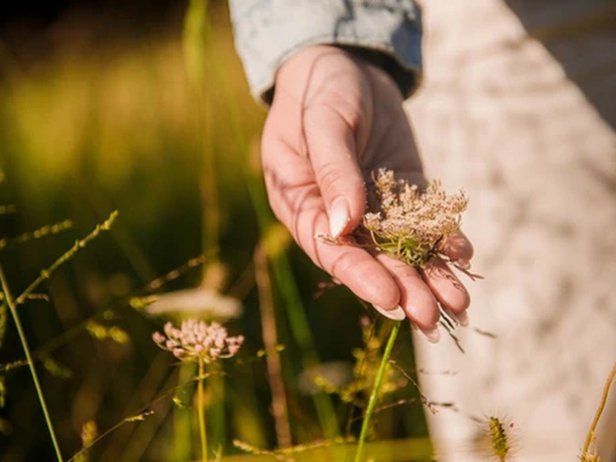 Naturaleza y cultivo responsable