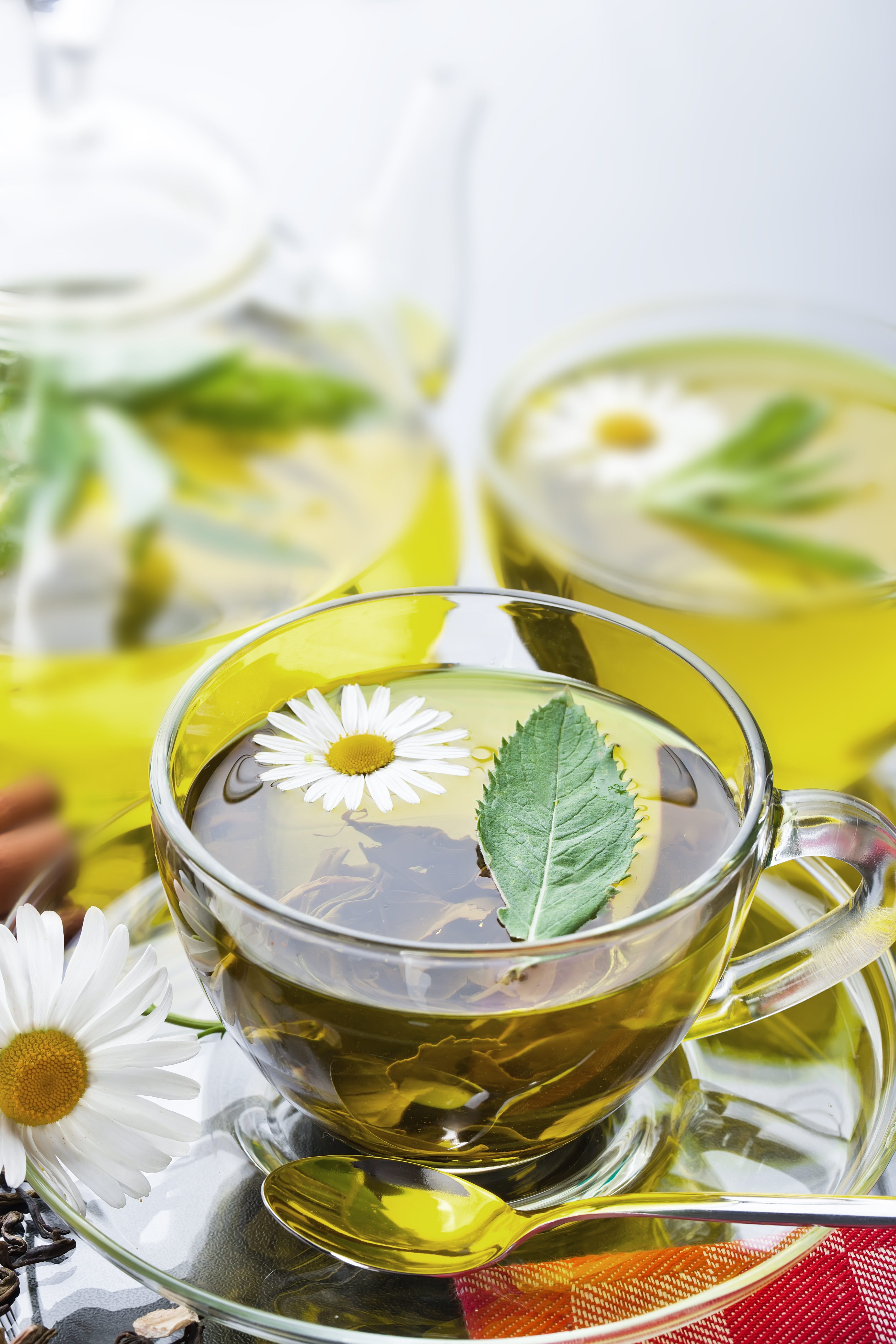 Plantas e ingredientes botánicos
